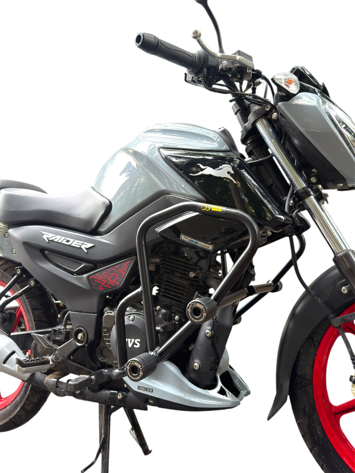 DG Pro TVS Raider Slider Guard